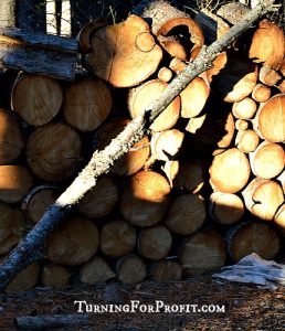 Wood in woodpile