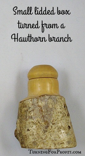 creative woodtuner hawthorn box
