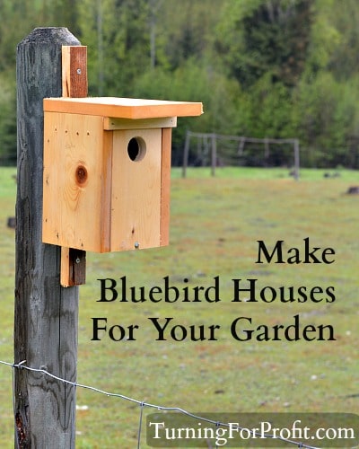 Bluebird houses
