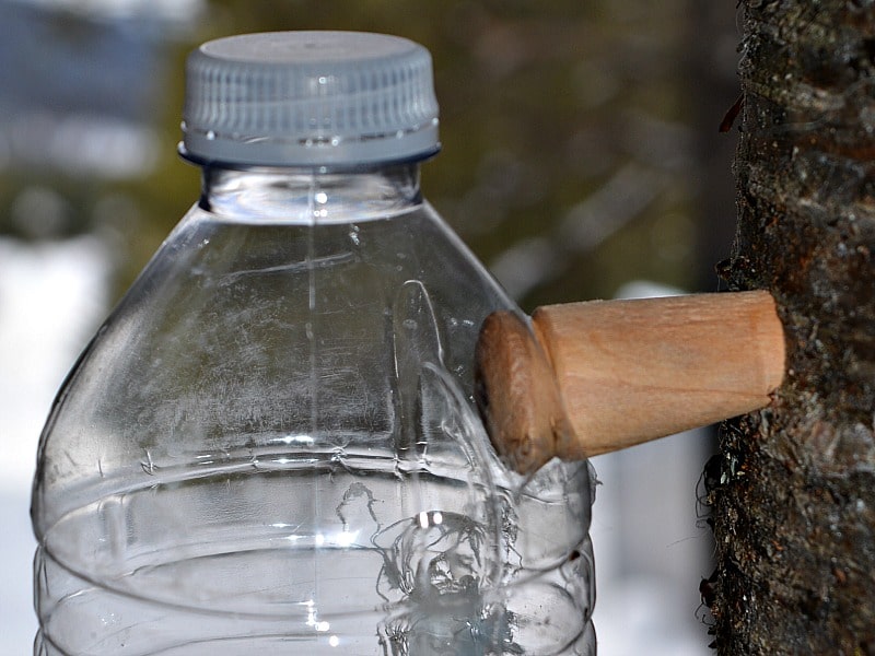 Spile: you can turn a spile in order to tap into the sap of Birch and Maple trees