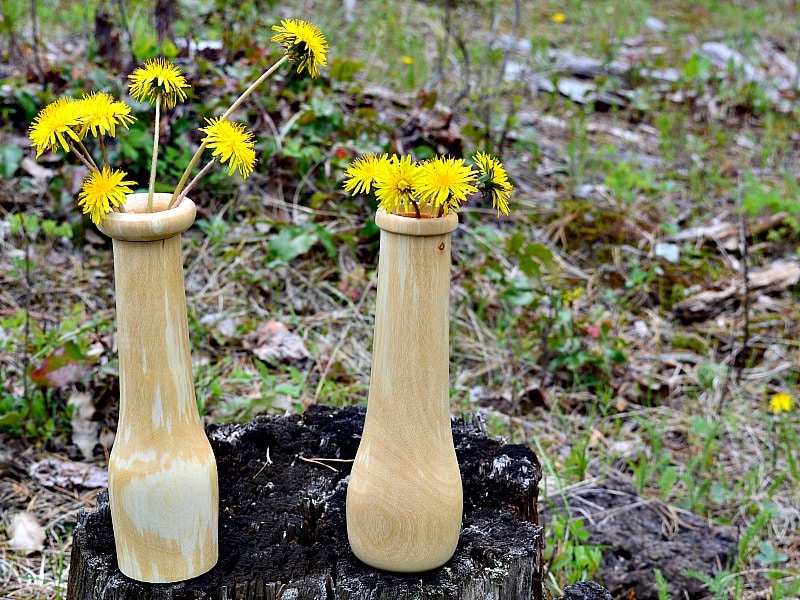 Perfect for wild flowers a pair of weed pots